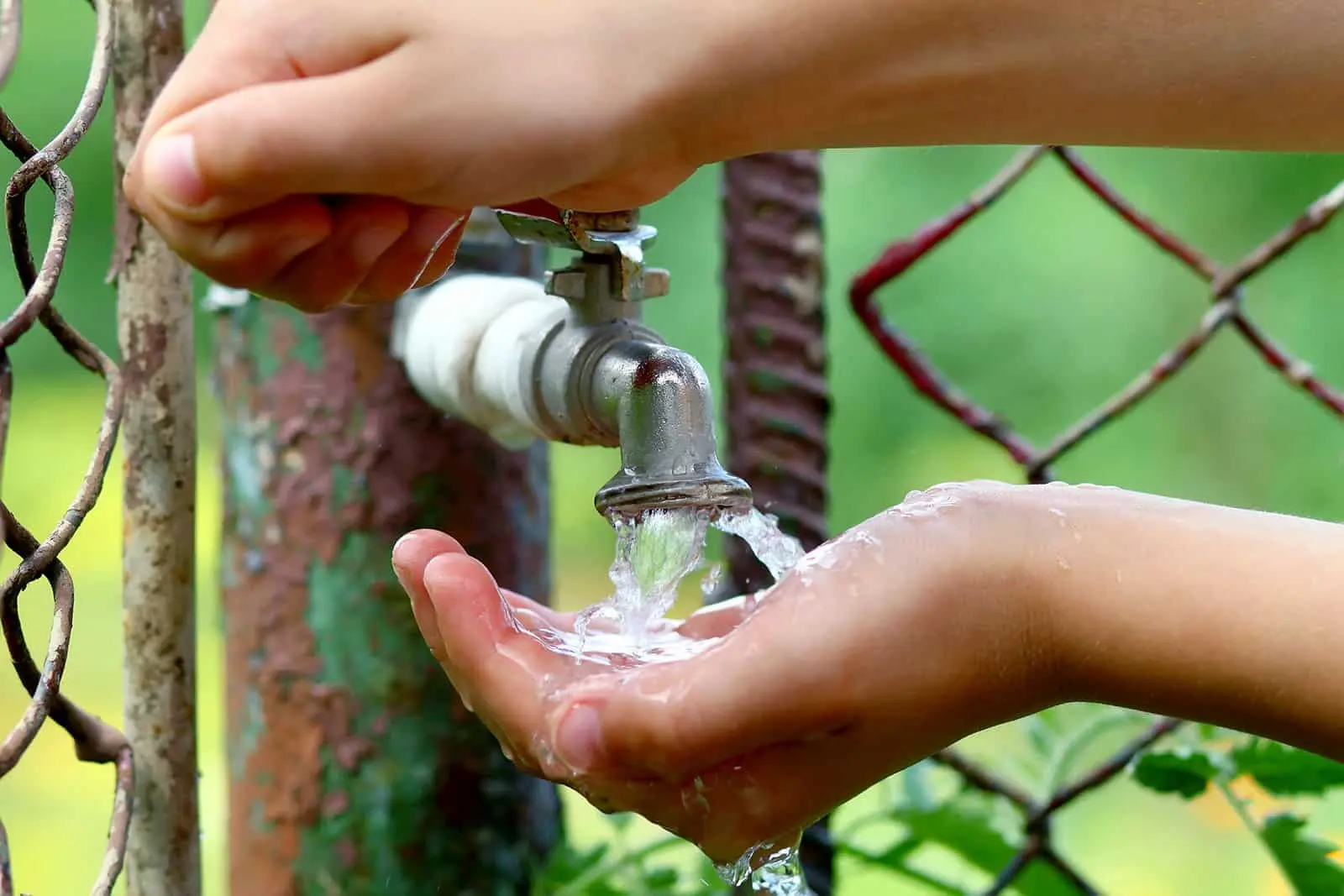 Water Conservation Tips - Precision Plumbing