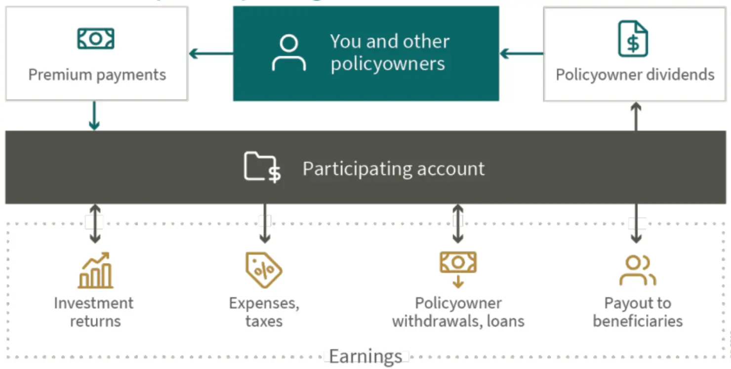 Participating Life Insurance