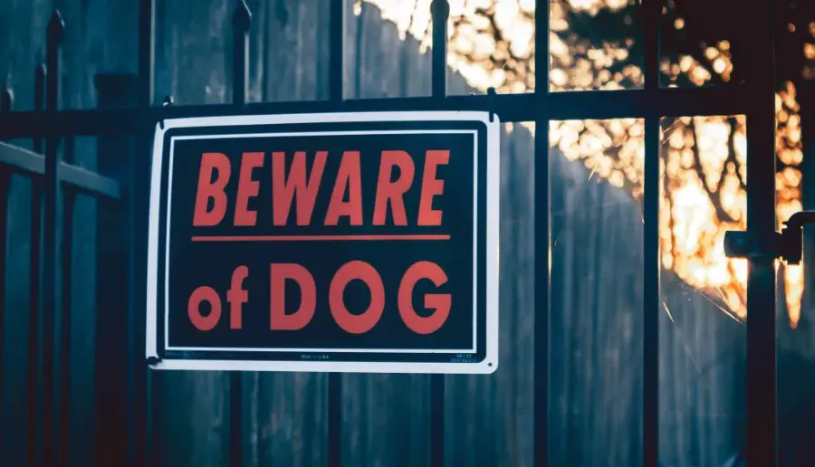 How Is Liability Determined in a Dog Bite Case in Spokane? | Call (509) 495-1246