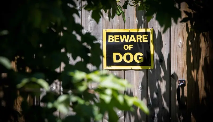 How to Choose the Right Attorney for Dog Bite Case in Spokane Valley? | Call (509) 495-1246