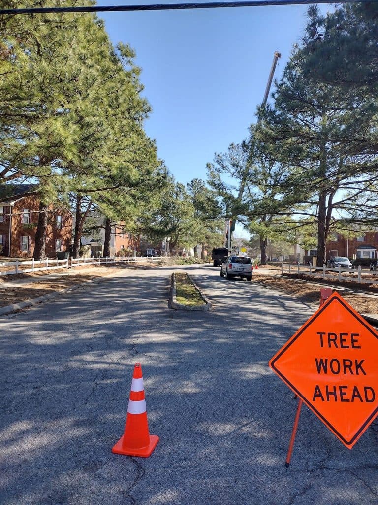 Roadside tree work zone with safety cones and caution sign in Chesapeake, VA.