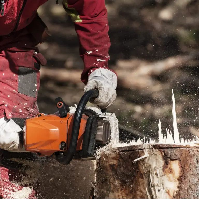 Certified arborist using a chainsaw to cut a tree trunk in Chesapeake, VA.