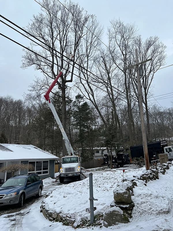 Emergency tree removal and storm damage cleanup in Lagrangeville, NY, ensuring fast and reliable service for fallen or hazardous trees.