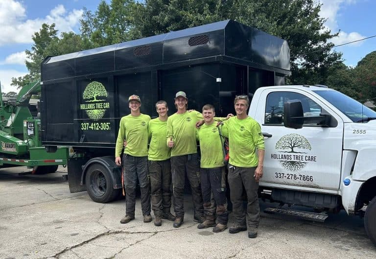 Tree Service in Lafayette – Certified Arborists at Hollands Tree Care