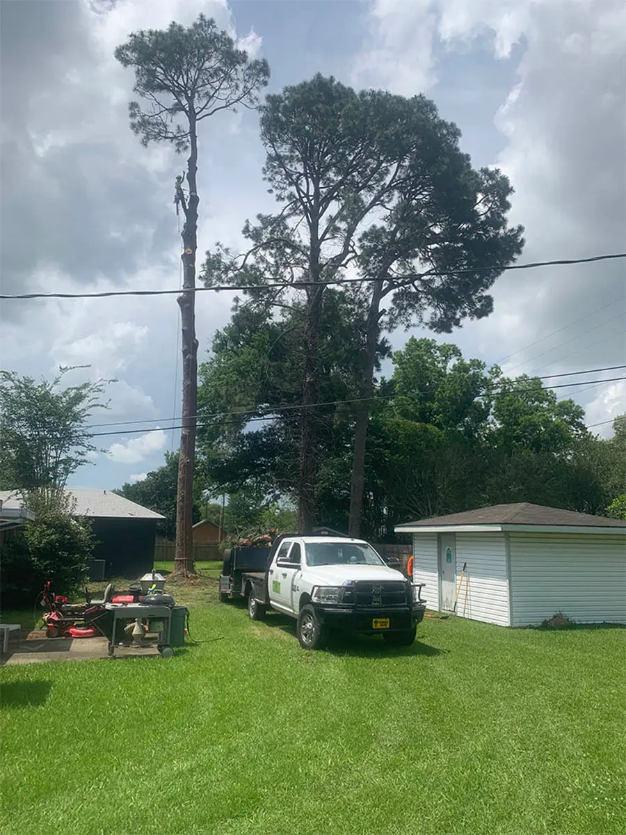 Emergency tree service in Lafayette, LA – 24/7 storm damage response