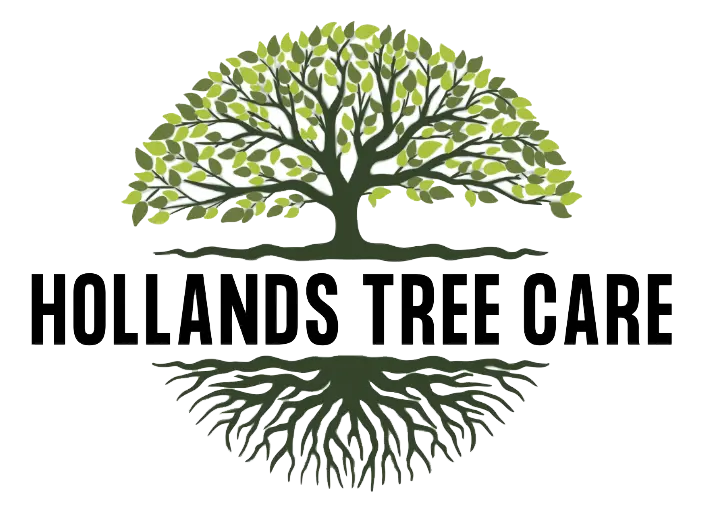 Tree service by certified arborists in Lafayette, LA – Expert tree health care