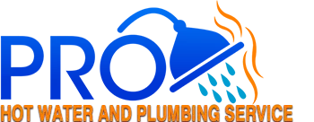 pro hot water service