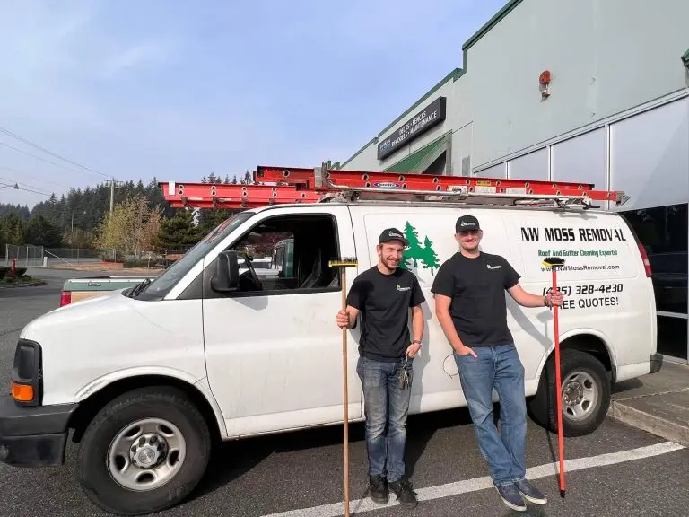 nw moss removal handyman marketing pros testimonial