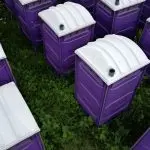 How Many Portable Toilets Do You Need?