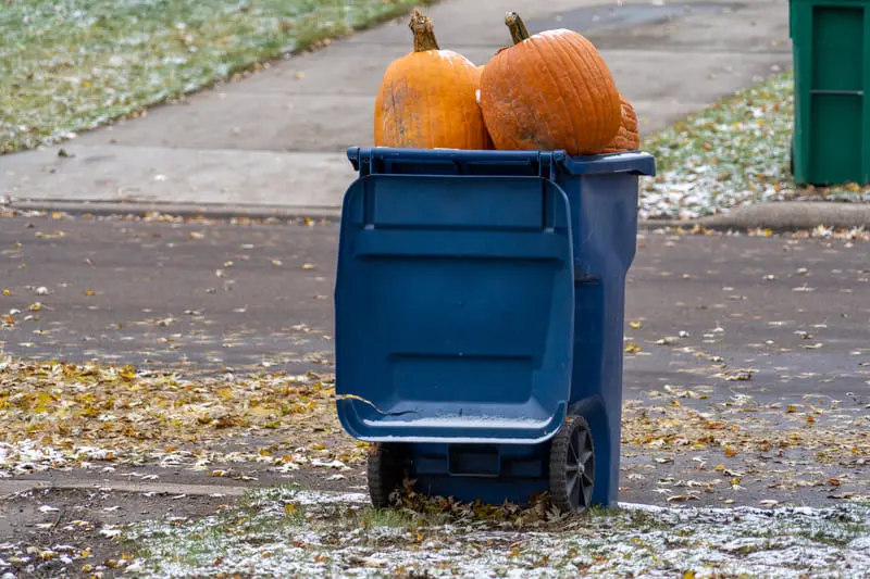 curbside trash bin collection services