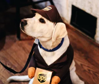 Halloween contest ideas for the workplace