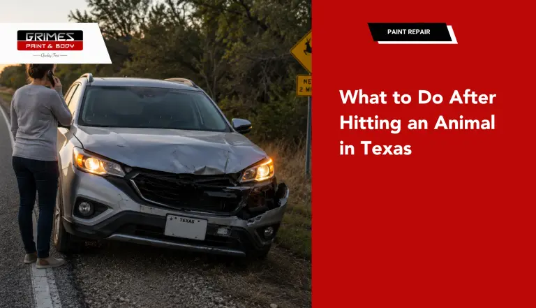 What to Do After Hitting an Animal in Texas