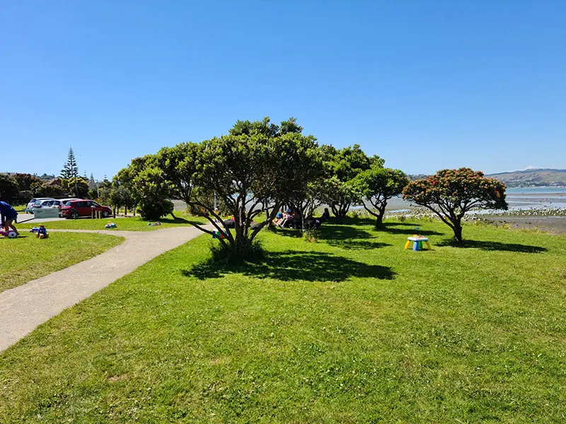 Park image on a blue bird day