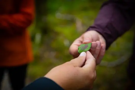 Guide holding a horopito leaf, a native pepper plant, on the Routeburn Track