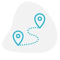 Experienced kiwi guides