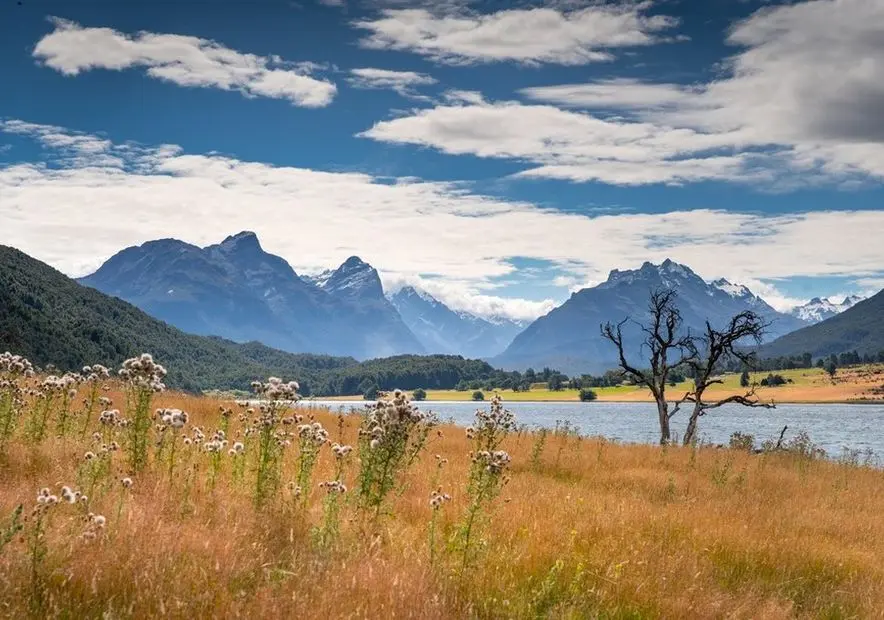 Diamond Lake and golden tussock looking into Paradise, with mountains behind