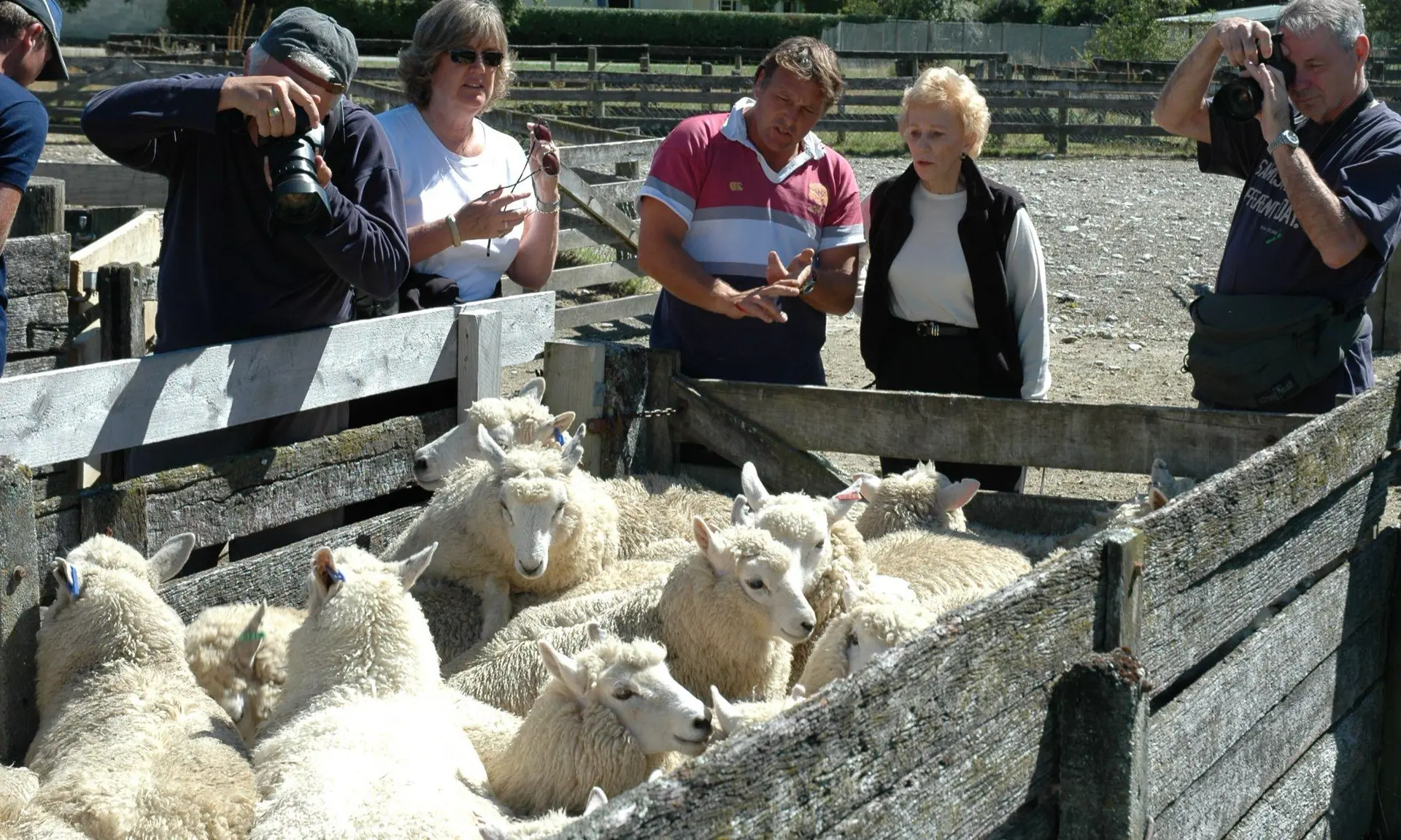 Special Interest Tours