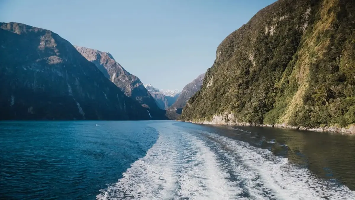 Wake of a cruise boat on Milford Sound between steep forested cliffs
