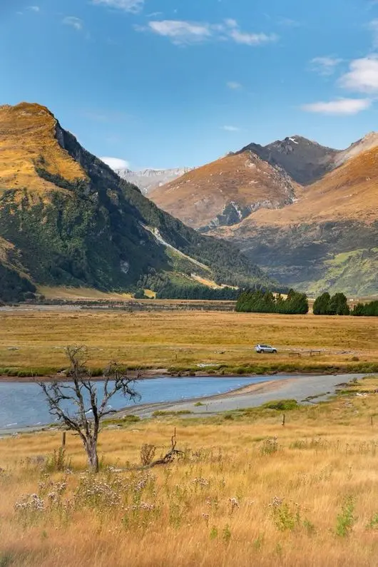 View from Diamond Lake towards Mt Earnslaw, with golden tussock in the foreground