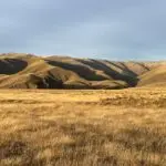 IMG 0311
