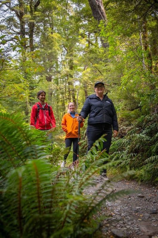 Guide and guests walking through ferns on the Routeburn Track
