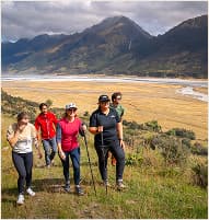 Queenstown Local Area