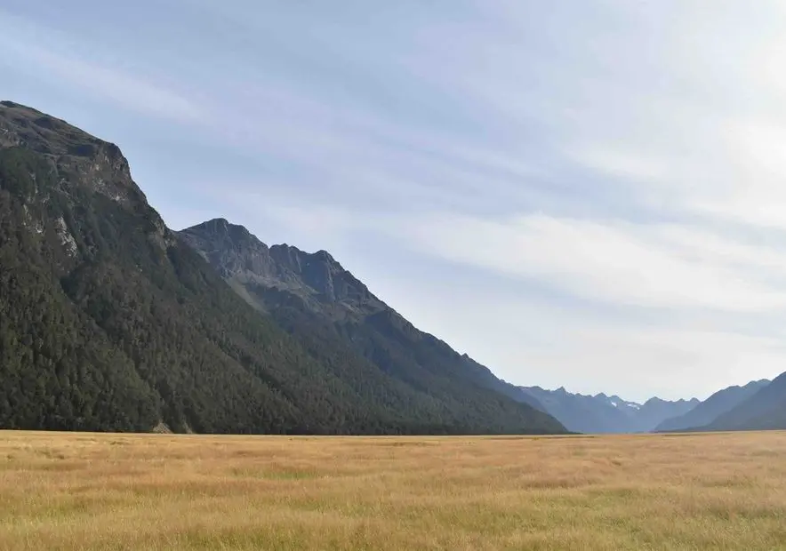 The open grassland of the Eglinton Valley on the road to Milford Sound