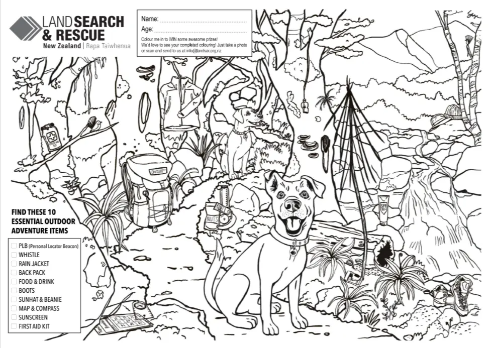 Colouring in competition