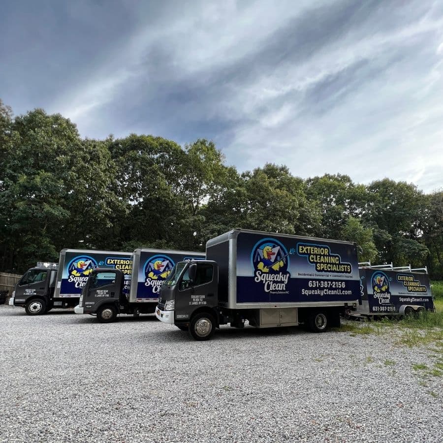 squeaky Clean property solutions inc long island ny