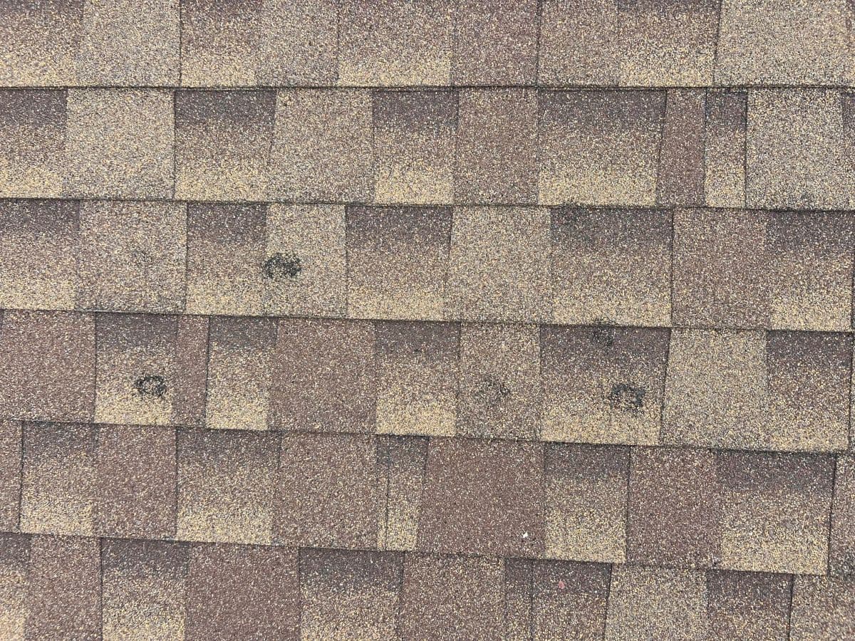 Close-up of brown asphalt roof shingles with several darker circular stains visible on some shingles, indicating possible damage or wear. The shingles are arranged in a staggered pattern.