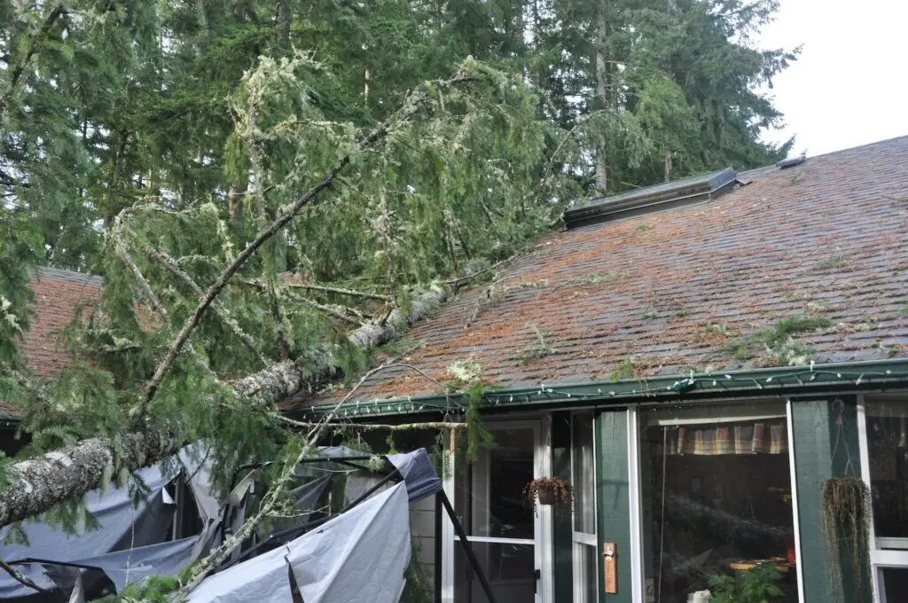 A large tree has fallen onto the roof of a house, causing visible damage. The tree lies across the roof and part of the house’s exterior, with scattered debris and broken branches visible.