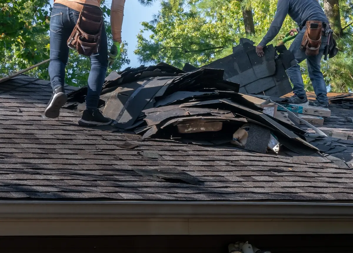 Two workers wearing tool belts stand on a shingled roof, removing old roofing materials which are piled in the center. Sunlight shines through green trees in the background.
