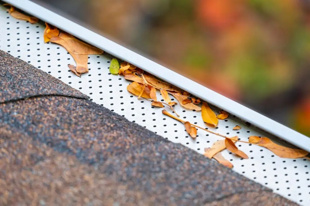Close-up of a house roof with a gutter guard covered in perforated metal, partially blocked by dry brown leaves and twigs. The roof shingles are visible next to the gutter guard.