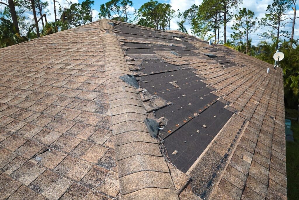 A house roof with missing and damaged shingles shows clear wind damage to roof, exposing the black underlayment beneath. Some shingles are loose or gone, likely from a recent storm. Pine trees and a blue sky are visible in the background. wind damage to roof