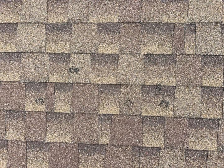 Close-up of brown asphalt roof shingles with several darker circular stains visible on some shingles, indicating possible damage or wear. The shingles are arranged in a staggered pattern.
