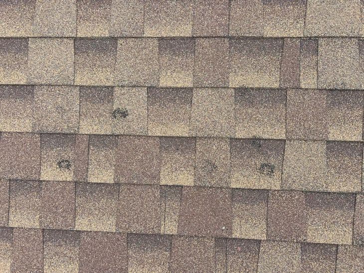 Close-up of brown asphalt roof shingles with several darker circular stains visible on some shingles, indicating possible damage or wear. The shingles are arranged in a staggered pattern.