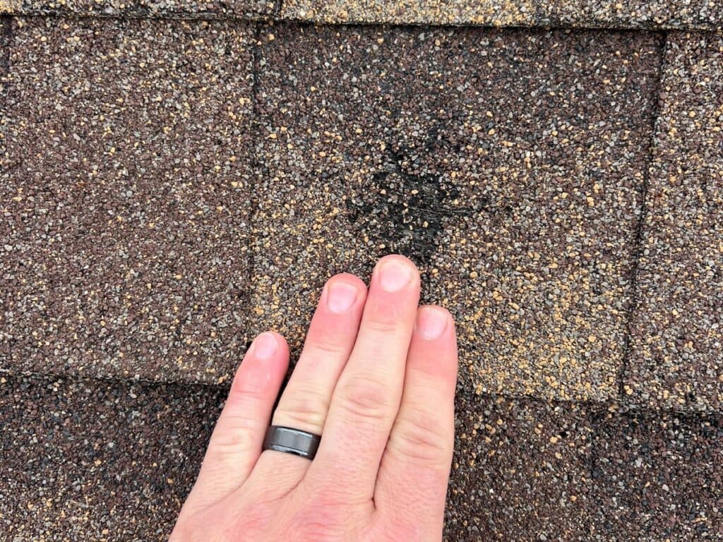 hail damage roof repair hand with a silver ring touches asphalt shingles on a roof, pointing to a dark, discolored spot on one of the shingles.