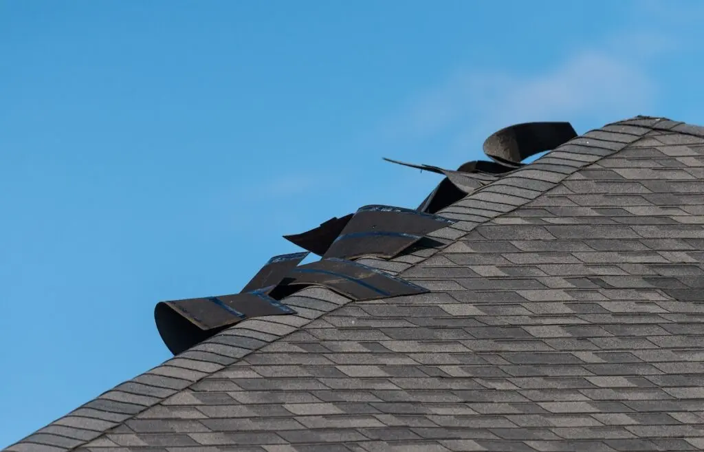 Several dark roof shingles are lifted and curled up along the ridge of a house, likely due to wind damage to the roof, against a clear blue sky. wind damage to roof
