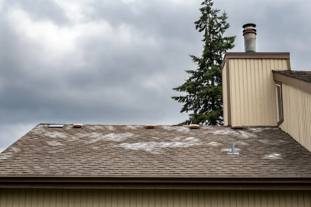 A house roof with patches of discoloration and granular loss on roof, along with some vent pipes, set against a cloudy sky, with a tall evergreen tree visible in the background.