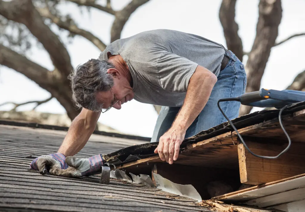 A man wearing glasses, gloves, and a gray shirt repairs a damaged section of a roof. He is inspecting the exposed area, surrounded by tools, with large tree branches visible in the background. roof leak repair