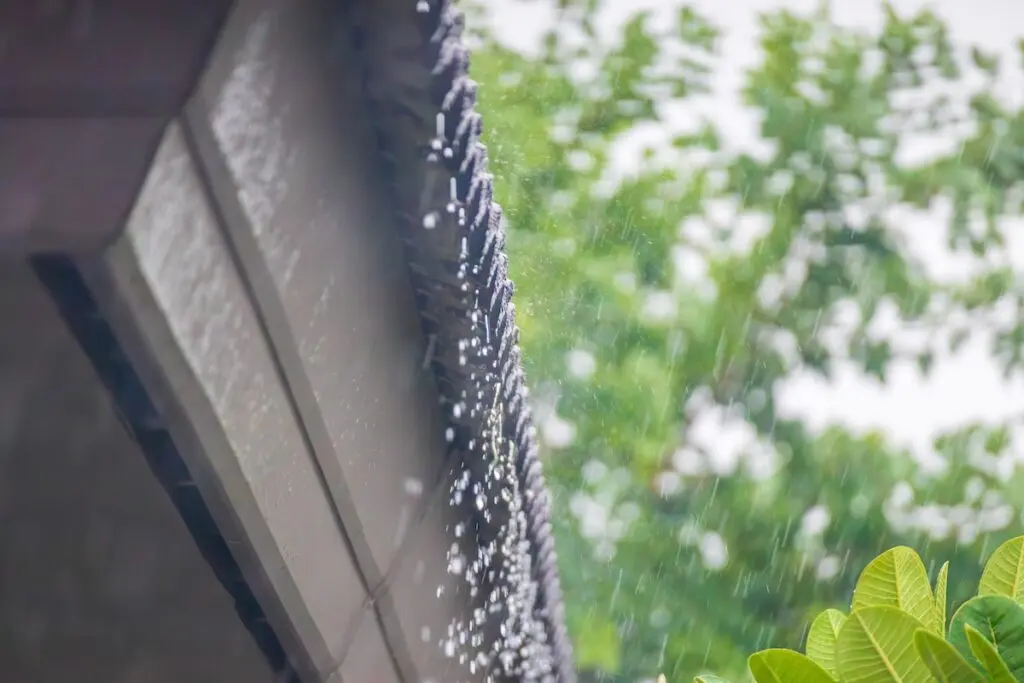 metal roof hail damage Raindrops falling from the edge of a roof with blurred green trees and leaves in the background, capturing a rainy day scene.