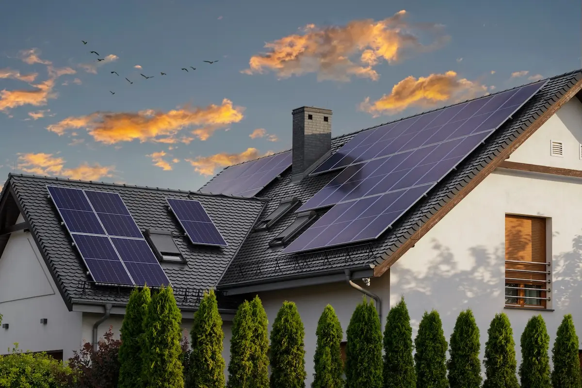 A modern house with solar panels on a metal roof, surrounded by tall green shrubs, sits under a partly cloudy sunset sky as birds fly in the distance.