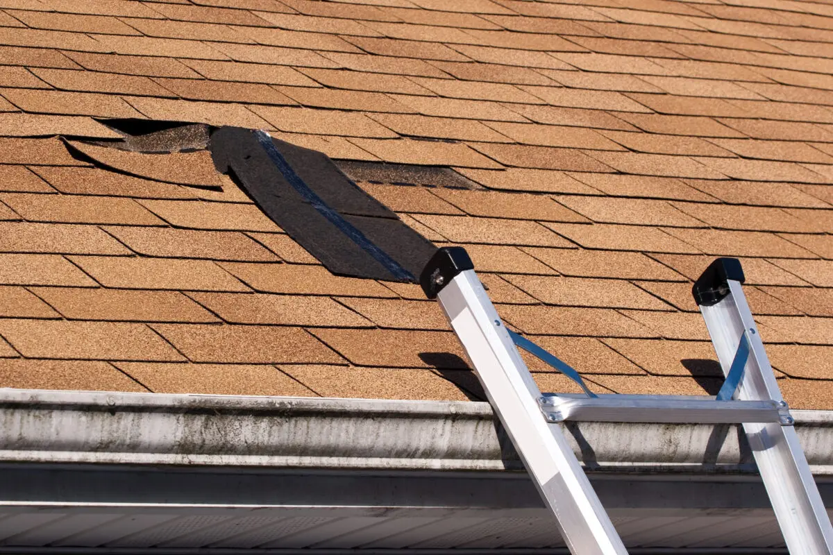 A ladder leans against the edge of a house roof with brown shingles, and several missing shingles on the roof near the top expose the underlayment beneath, likely caused by wind damage.