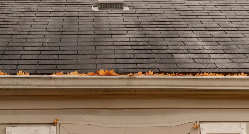 A close-up view of a house roof with gray shingles and a gutter filled with orange autumn leaves.