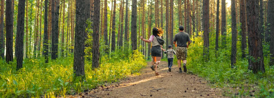 A family of three walks along a path in a sunlit forest, surrounded by tall pine trees and green foliage. The parents follow a young child, who runs ahead with excitement. Sunlight filters through the trees, creating a serene atmosphere.