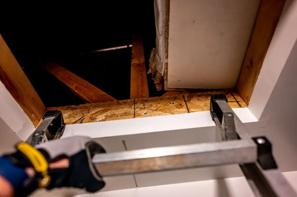 roof inspection A gloved hand holds a ladder leading up to an attic opening with exposed wooden beams and insulation visible inside the dark attic space.