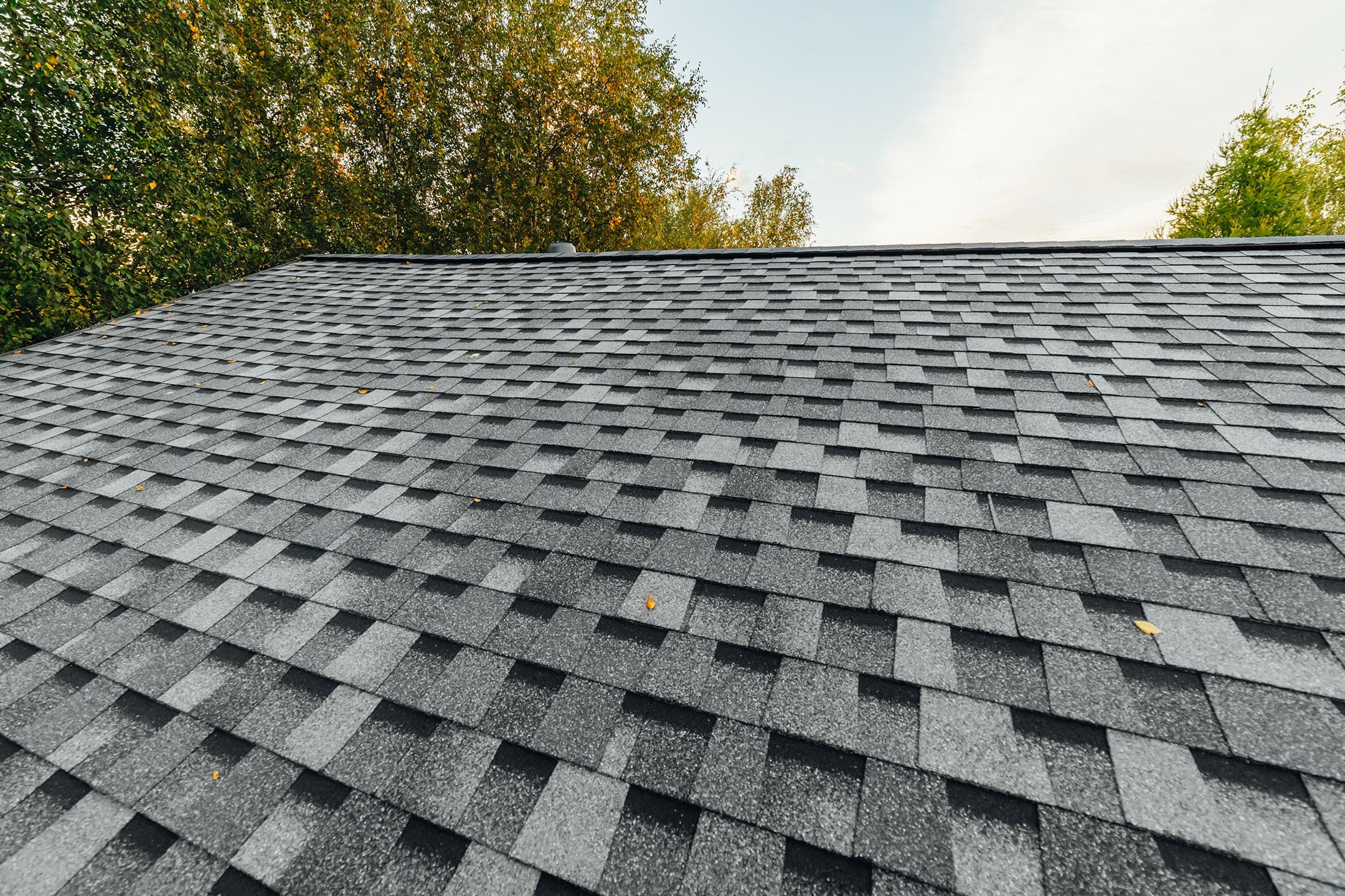 Close-up view of a roof covered with gray asphalt shingles, with a few yellow leaves scattered on top. Trees with green and yellow leaves are visible in the background against a partly cloudy sky.