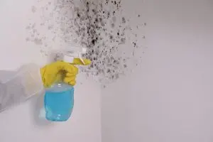 Spring moisture buildup leading to mold growth in Vancouver WA home