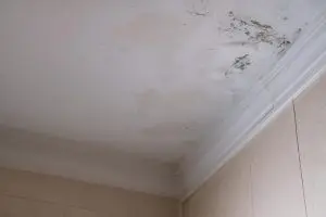 Late summer storm preparation tips for Vancouver WA homeowners