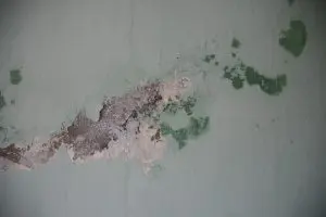 Recurring mold growth in same spots requiring certified mold remediation in Vancouver WA